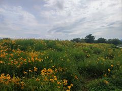 -良渚古城遗址公园