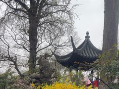 -西园戒幢律寺