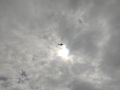 -空港花田景区