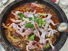 -大江美蛙鱼火锅(都江堰店)