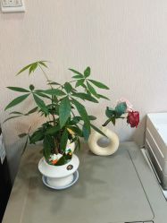 -澳玛·星光医疗美容