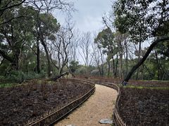 -上海共青森林公园