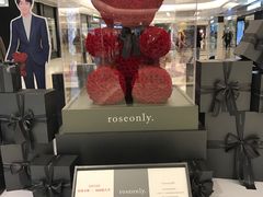 -ROSEONLY诺誓(青岛万象城店)