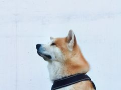 -北化机爱工场文化科技融合产业园