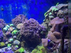 -珠海长隆海洋王国