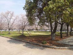 -无忧学车·大众驾校(长宁校区)
