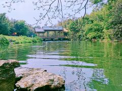 -杭州植物园