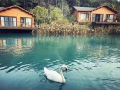 -杭州开元森泊度假乐园