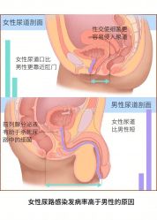 -邢台妇产医院