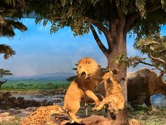 -国家自然博物馆