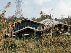 -西湖风景区-江洋畈生态公园