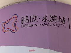 -鹏欣水游城