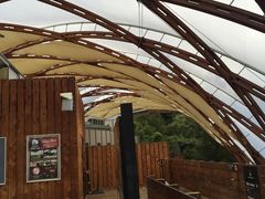 -怀托摩萤火虫洞