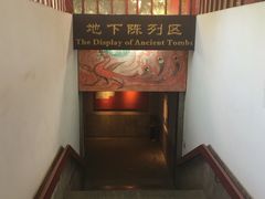 -洛阳古墓博物馆