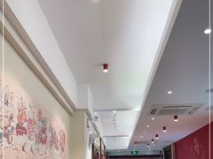 -海丝金凤(金鱼店)