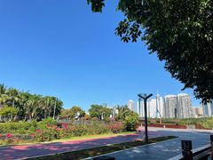 -万绿园
