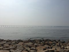 -宝安西湾红树林湿地公园