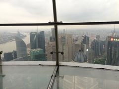 -东方明珠国际旅行社有限公司