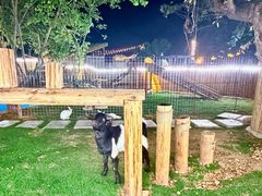 -台山颐和温泉城