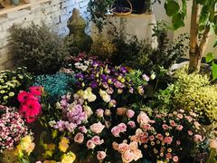 -Jo's Garden