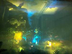 -恐龙探索乐园(磁器口店)