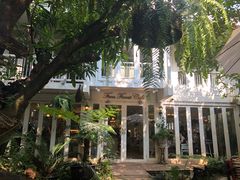 -Fern Forest Cafe