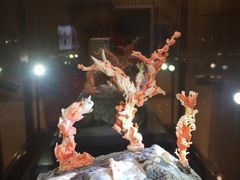 iphone_upload_pic-绮丽珊瑚(台北101旗舰门市店)