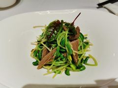 豌豆苗拌黑腐竹-北京厨房(西安SKP店)