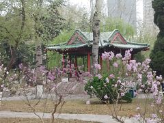 -山东师范大学(千佛山校区)