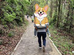 -青龙山国家森林公园