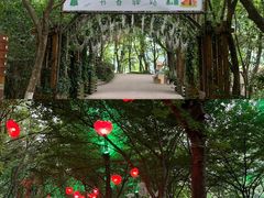 -天目湖山水园