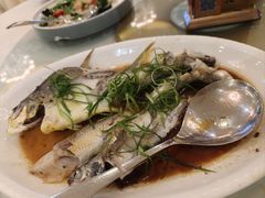 -益利大酒楼(井岸店)