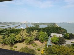 -大湾区中央湿地公园