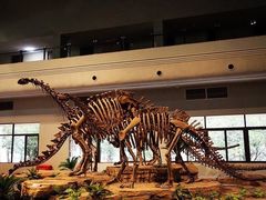 -自贡恐龙博物馆