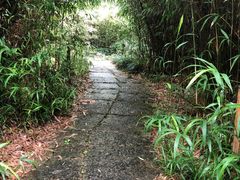 -上海植物园-4号门售票处