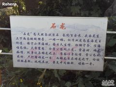 -洋山深水港