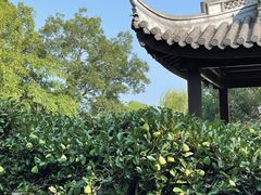 -无锡蠡湖国家湿地公园-蠡园