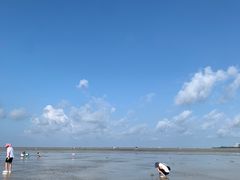 -北海金海湾红树林生态旅游区