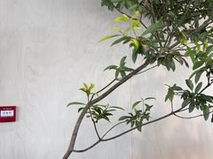 -喜茶(珠海华发商都店)