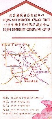 -北京麋鹿生态实验中心