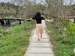 -海上田园