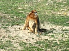 -济南野生动物世界