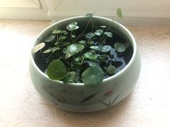 -上和臻品中国菜(花园街店)