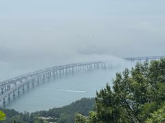 -星海湾跨海大桥