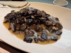 -大笮风(体育馆总店)