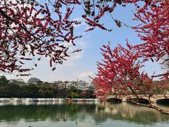 -桂林两江四湖景区