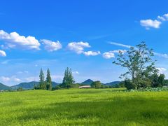-良渚古城遗址公园