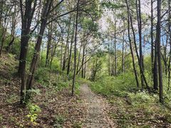 -玉渡山自然风景区