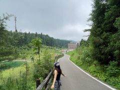 -武陵山森林公园