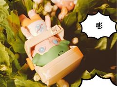 -泡泡玛特POPMART(天环购物中心店)